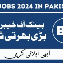 Bank of Khyber Jobs Feb 2024 in Pakistan