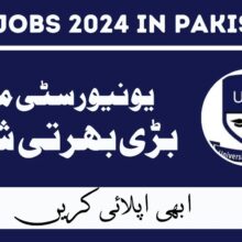 University of Mianwali Jobs Feb 2024 in Pakistan