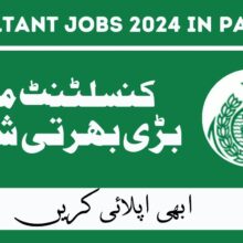 Consultant Jobs Feb 2024 in Pakistan