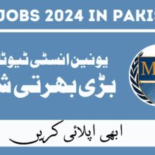 Union Institute of Modern Languages Jobs Feb 2024 in Pakistan